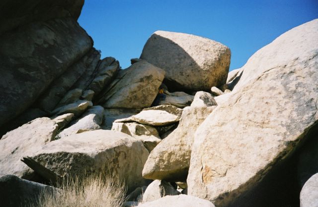 YAHR, also with Marc atop. It's like Where's Waldo, with Marc. And rocks.