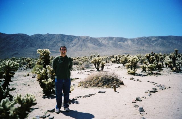 This was a great tour of cholla (jumping teddy bear) cacti that we did on our second day in the park.

We were heading for the southern exit, to spend the day in Palm Springs. There's not as much exciting stuff in the southern part of the park, but this cactus garden was really cool.